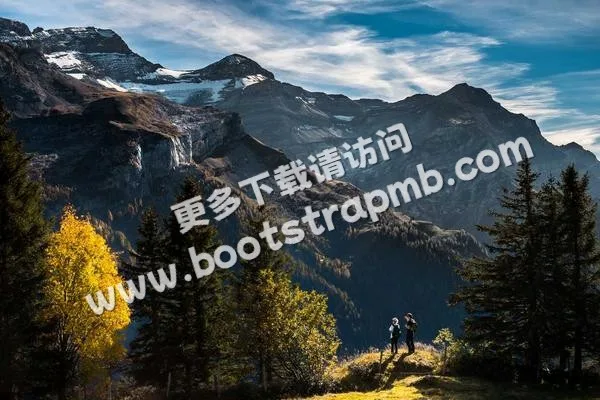 ⊞ Portfolio - 九游娱乐体育直播APP